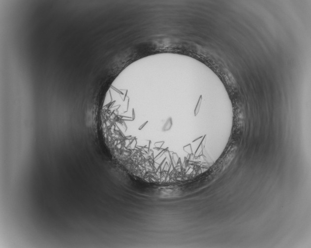 X0000102530275200809051515