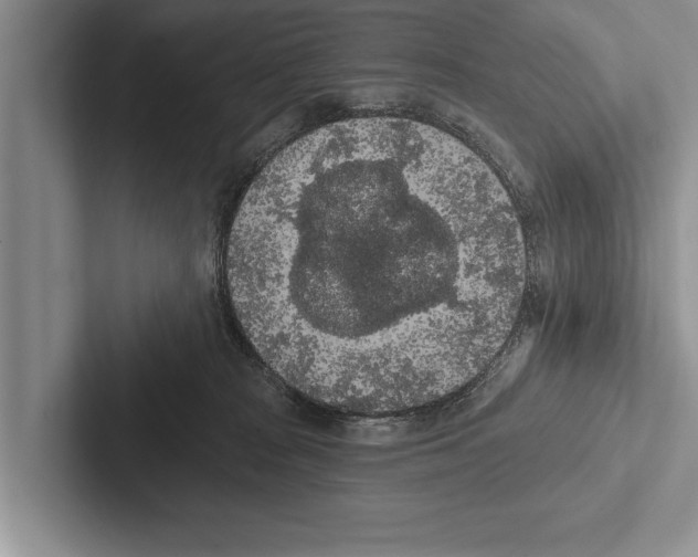 X0000102530277200809051515
