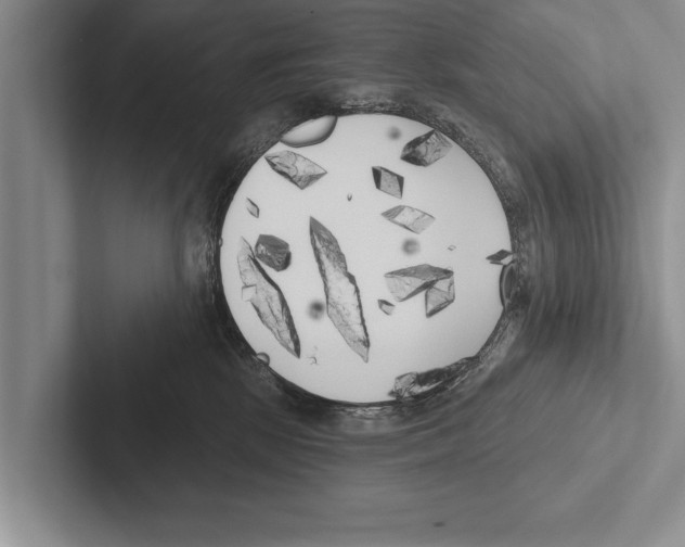 X0000102530281200809051516