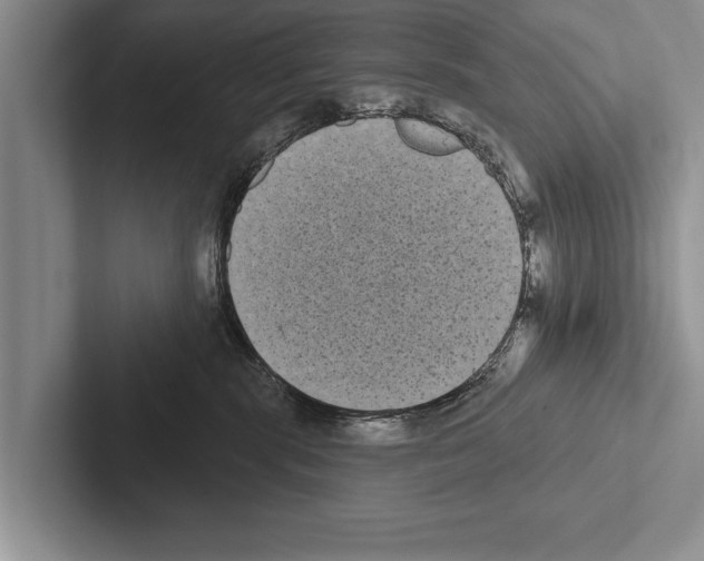 X0000102530283200809051516