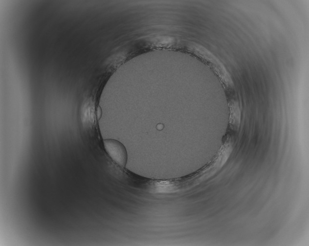 X0000102530287200809051516
