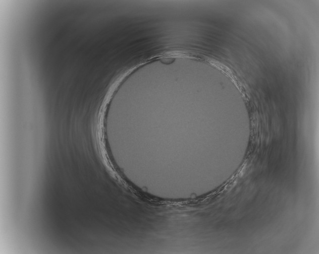 X0000102530289200809051515