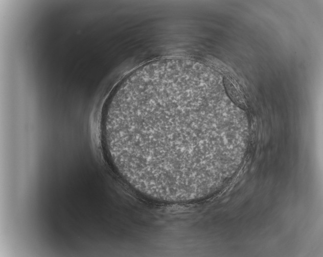 X0000102530290200809051515