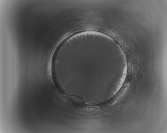 X0000102530292200809051515