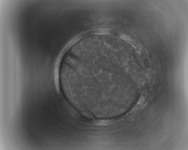 X0000102530293200809051515