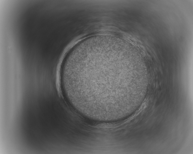 X0000102530294200809051515