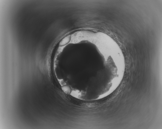 X0000102530295200809051515