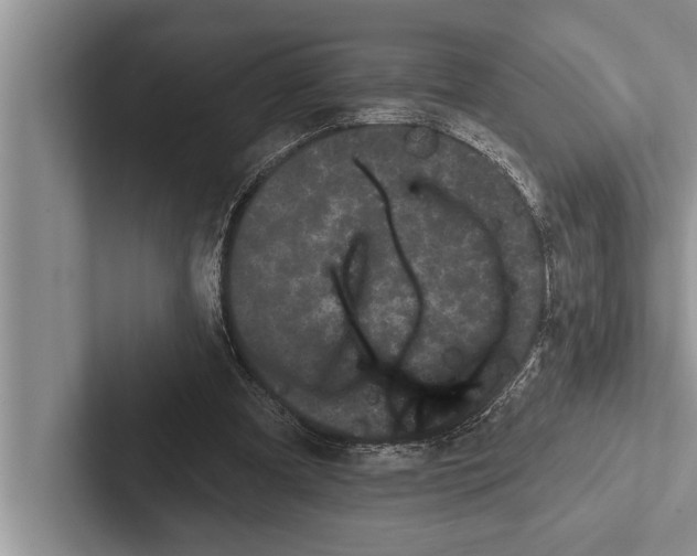 X0000102530297200809051515