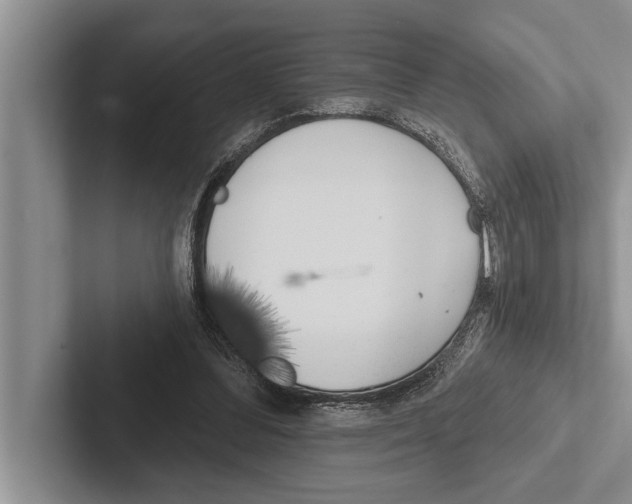 X0000102530300200809051515