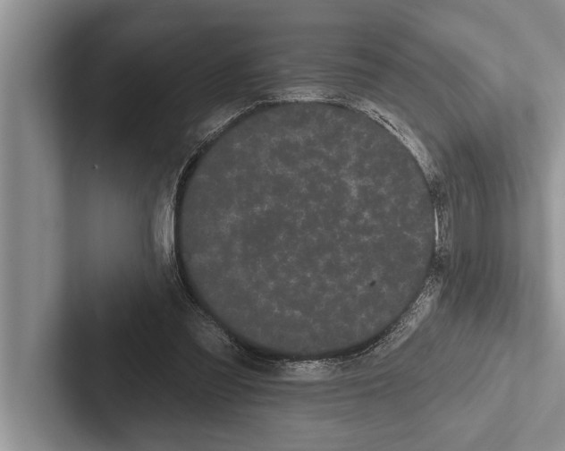 X0000102530301200809051515