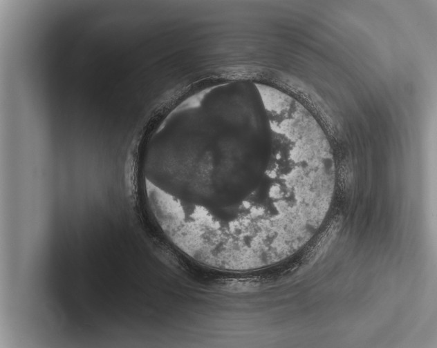 X0000102530303200809051515