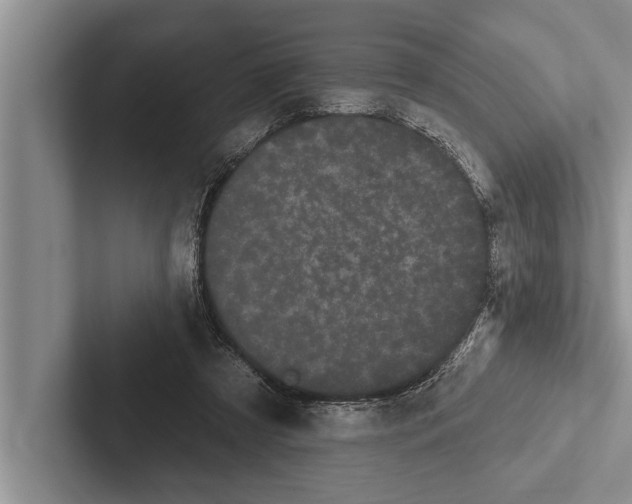 X0000102530305200809051515