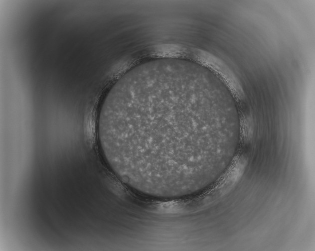 X0000102530309200809051515