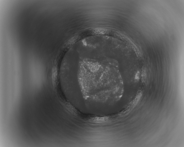 X0000102530314200809051515