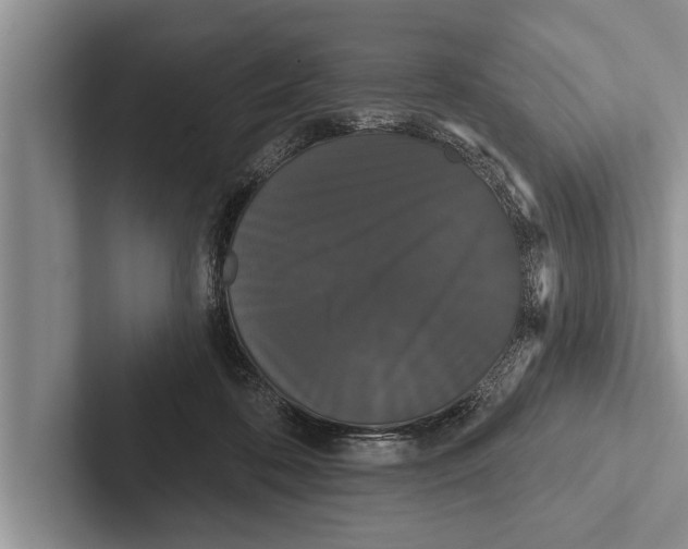 X0000102530316200809051515