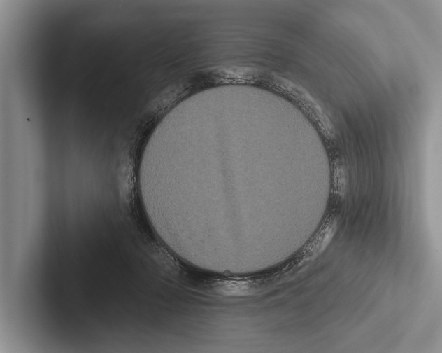 X0000102530318200809051515