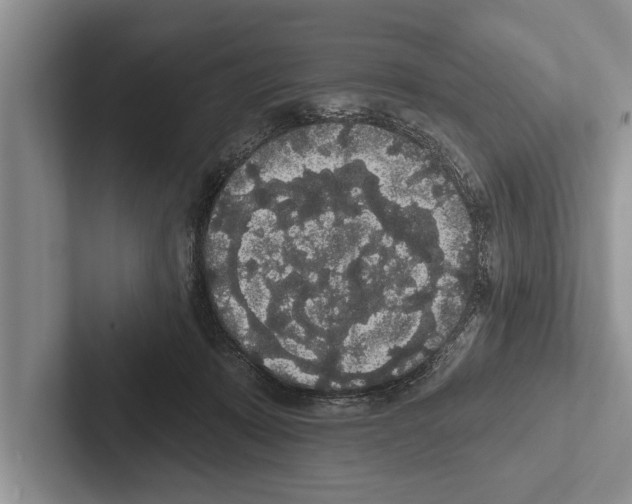 X0000102530319200809051515