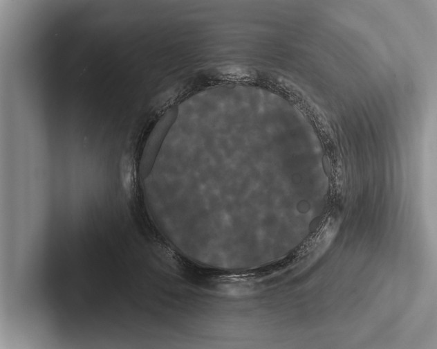 X0000102530320200809051515