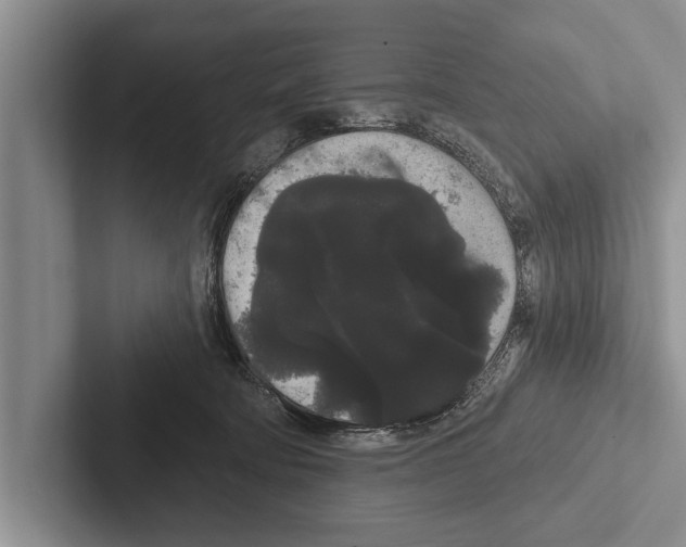 X0000102530322200809051515