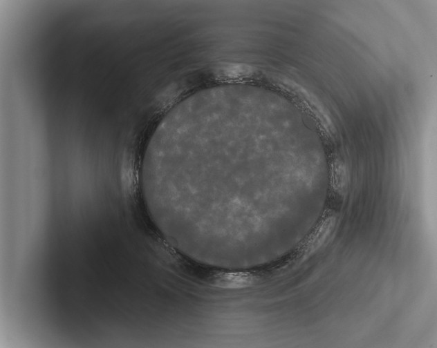 X0000102530324200809051515