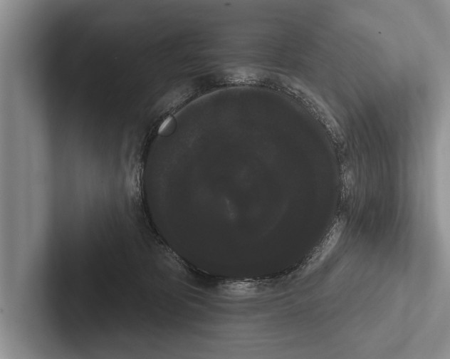 X0000102530325200809051515