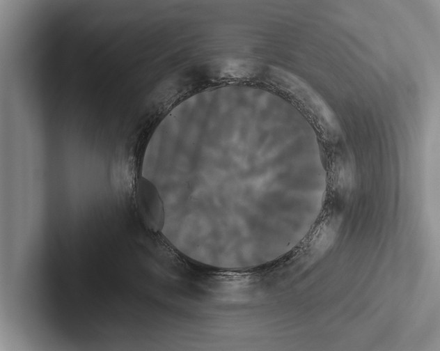 X0000102530328200809051514