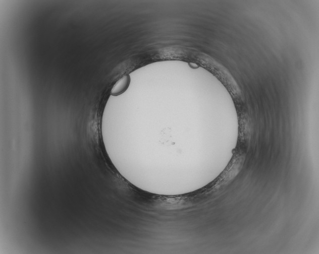 X0000102530329200809051514