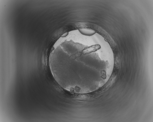 X0000102530330200809051514