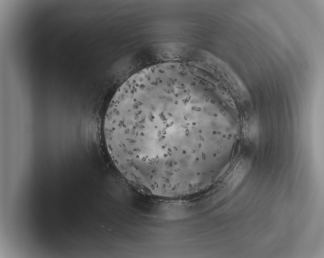 X0000102530332200809051514