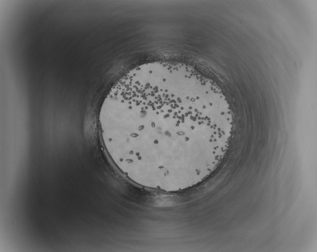 X0000102530336200809051514
