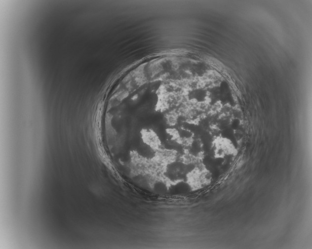 X0000102530337200809051514