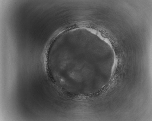X0000102530339200809051514