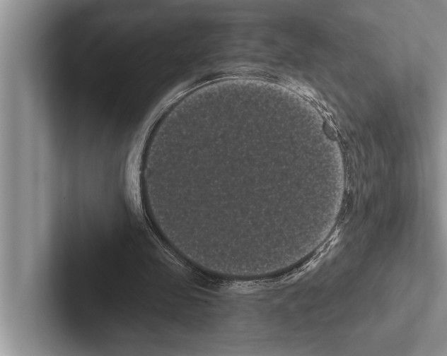 X0000102530341200809051514