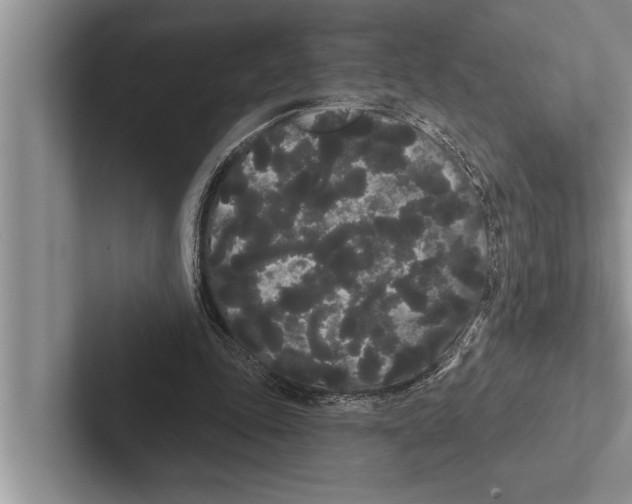 X0000102530343200809051514