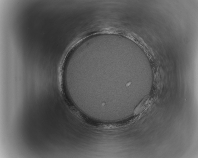 X0000102530344200809051514