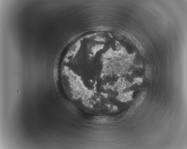 X0000102530351200809051514