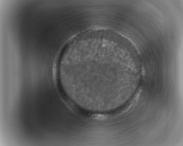 X0000102530352200809051514