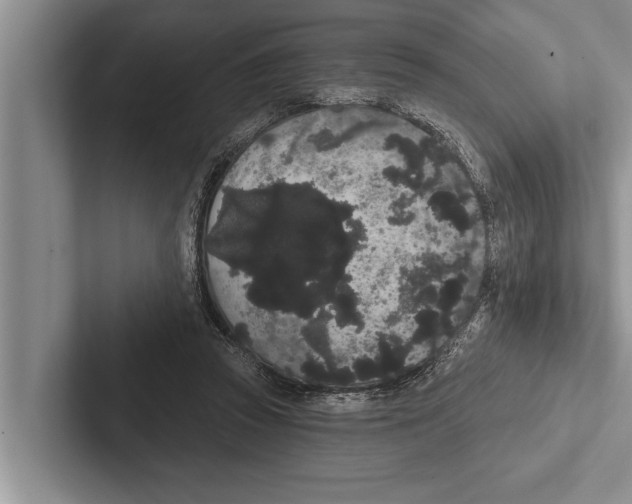X0000102530353200809051514