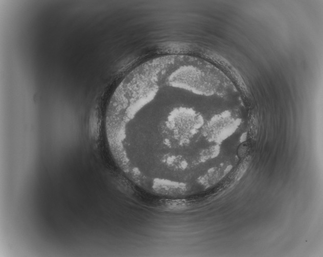 X0000102530355200809051514
