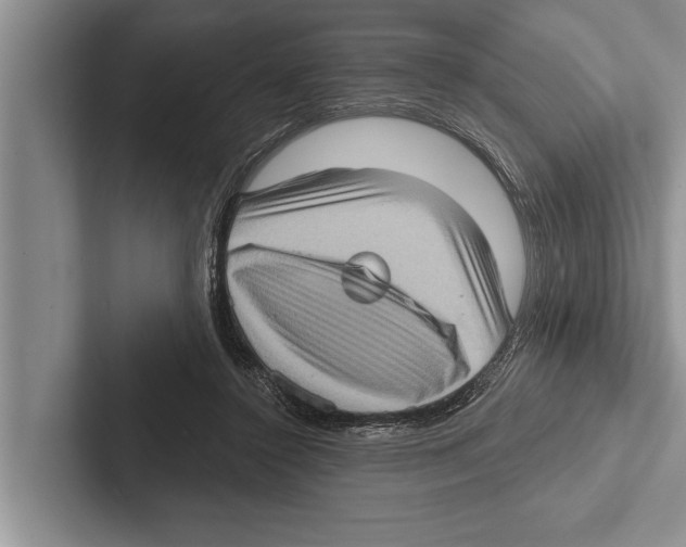 X0000102530356200809051514