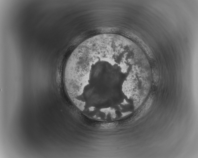 X0000102530357200809051514