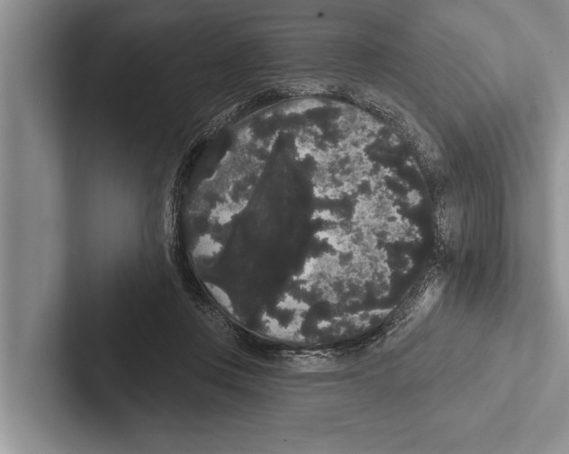 X0000102530359200809051514