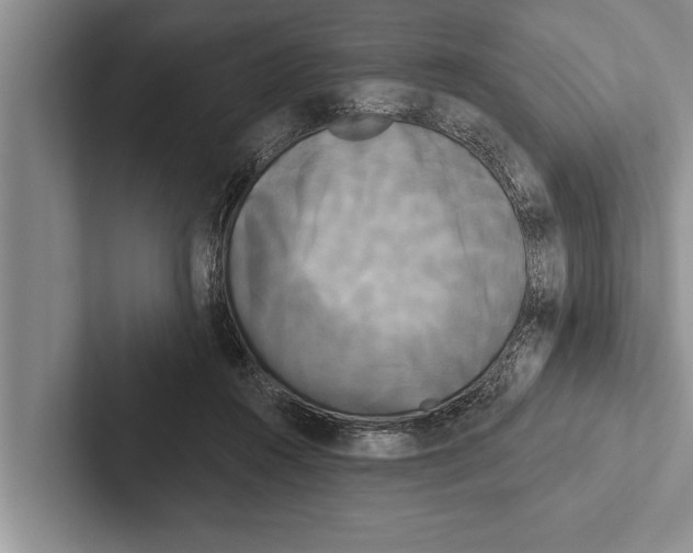 X0000102530360200809051514