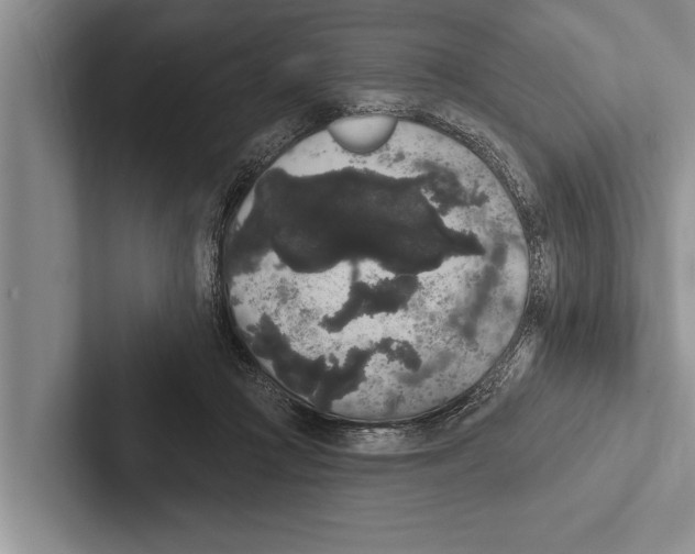 X0000102530361200809051514