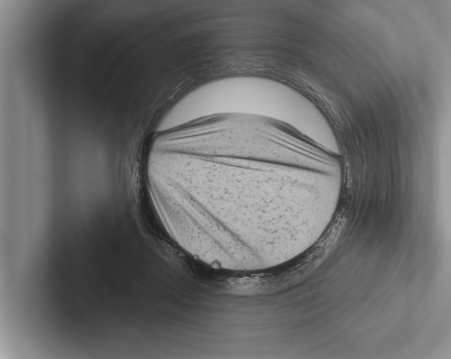 X0000102530362200809051514