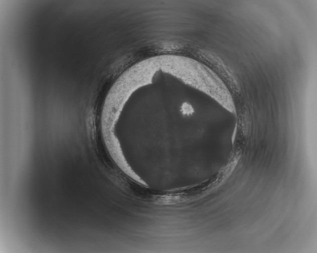 X0000102530366200809051514