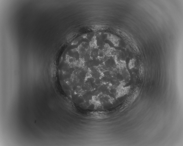 X0000102530367200809051514