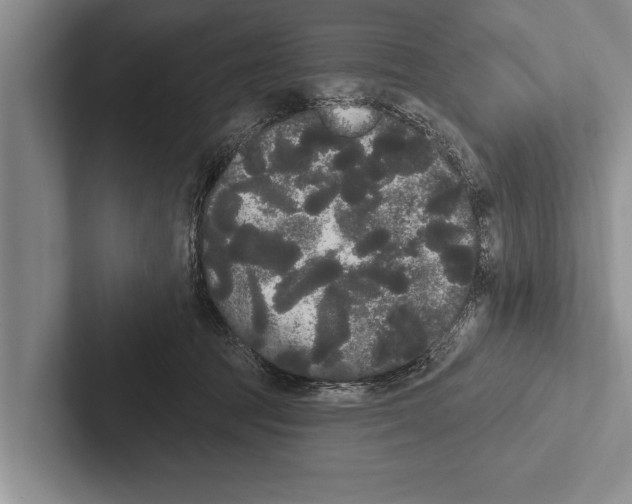 X0000102530369200809051514