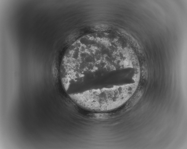 X0000102530371200809051514