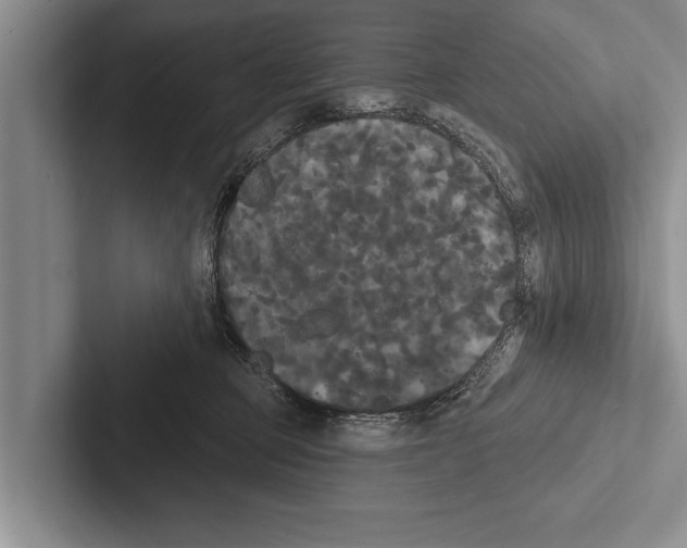 X0000102530373200809051514